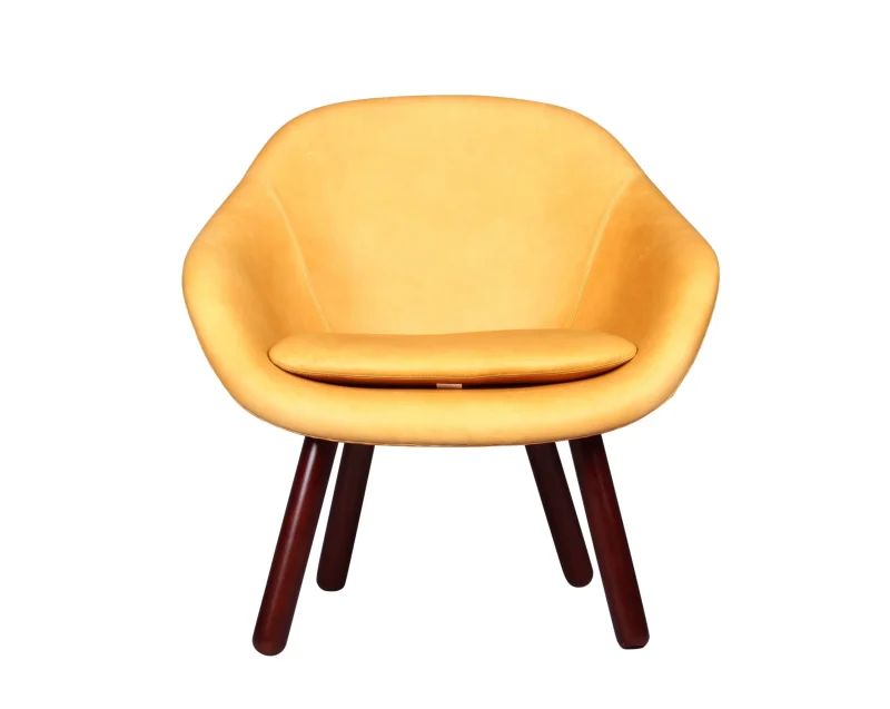 Hay AAL82 Style Chair